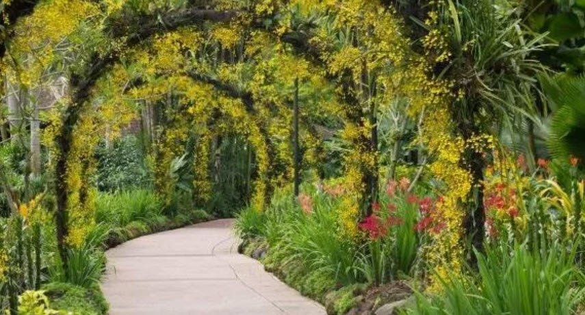 Orto Botanico Conservativo Carlo Spegazzini, Treviso, Italy, Italy
